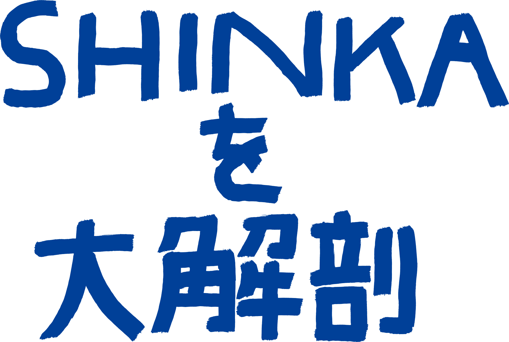 SHINKAを大解剖